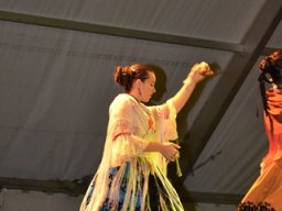 Festival de Folkore en Mula